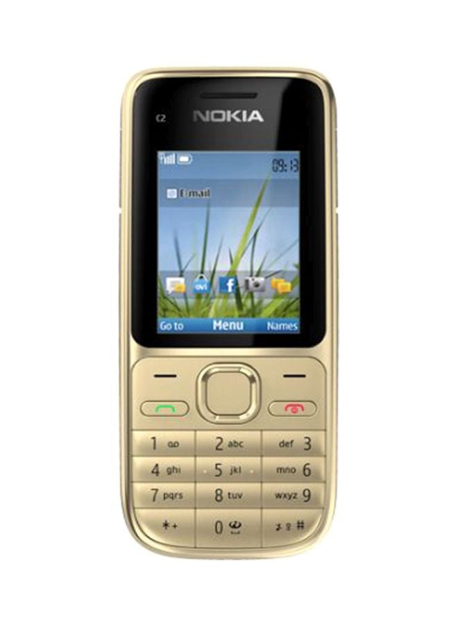 NOKIA C2-01 Single SIM Gold 43 MB RAM 128 MB 3G GSM Mobile