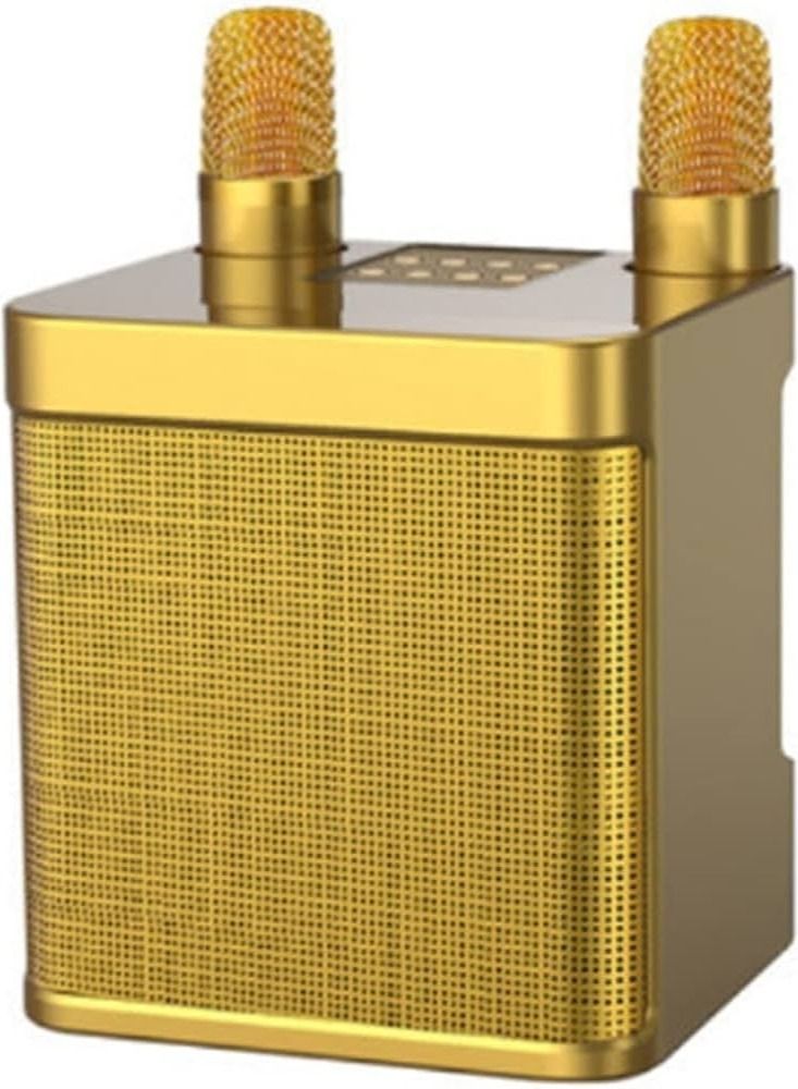 Portable Bluetooth Karaoke Speaker with 2 Wireless Microphones - Gold