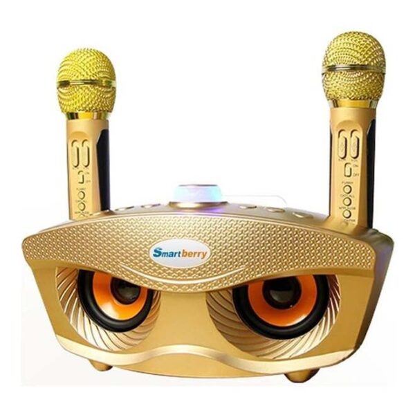 Portable Bluetooth Speaker With Dual Microphone Gold